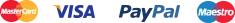 Logos de métodos de pago: Mastercard y Maestro.